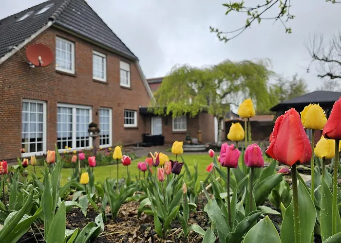 아파트 Kajuete 4 *